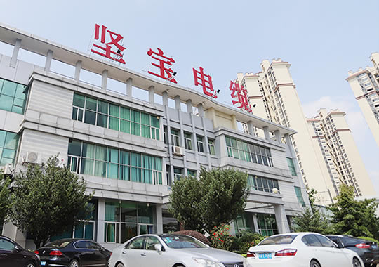 关于快猫VIP破解版